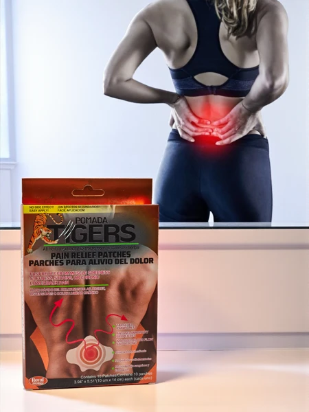 Plastry przeciwbólowe na ból pleców 10 sztuk